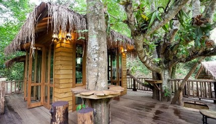 Treehouse_Chiang Mai