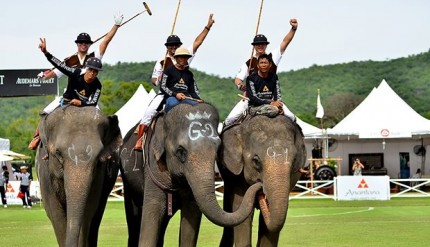 Anantara Team at the King's Cup Elephant Polo
